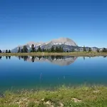 Mountain View By Managers
