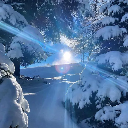 Mountain View By Managers Appartamento *