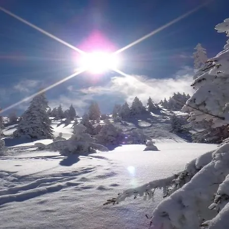 Appartement Mountain View By Managers *