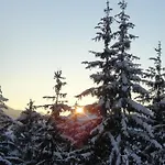 Mountain View By Managers 아파트 티롤 키르흐베르크