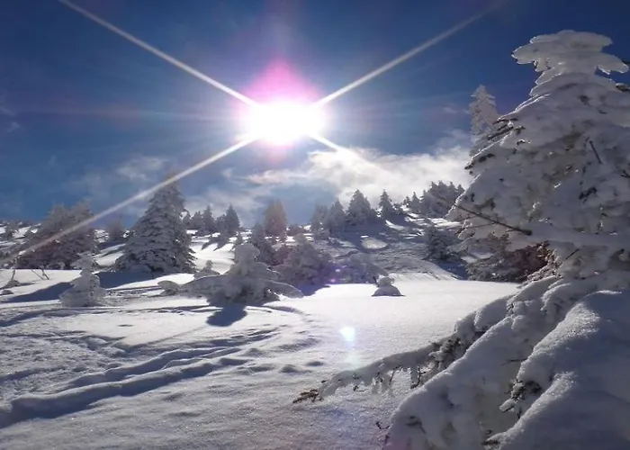 Апартаменты Mountain View By Managers *