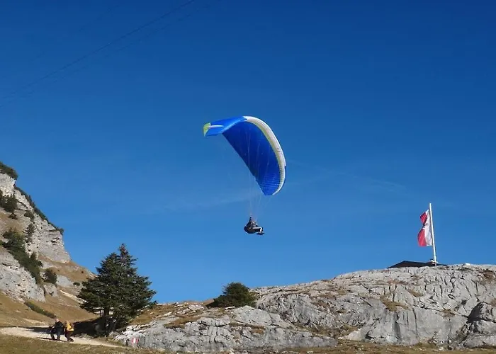 Mountain View By Managers