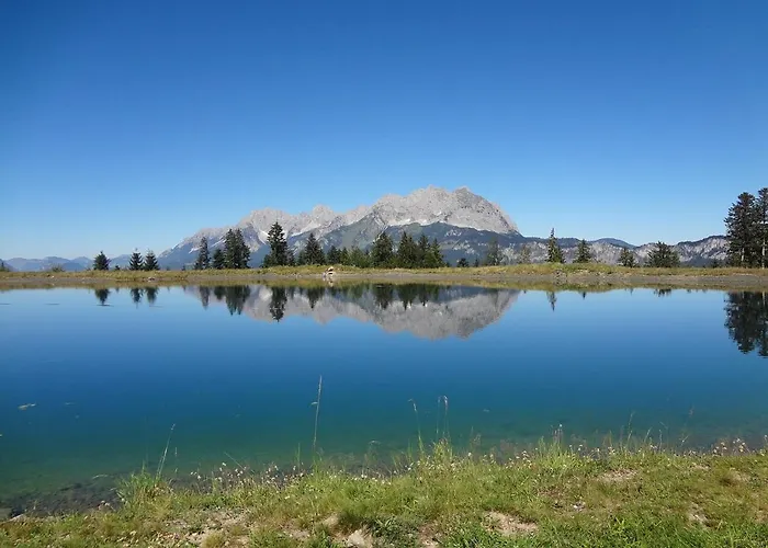 Mountain View By Managers